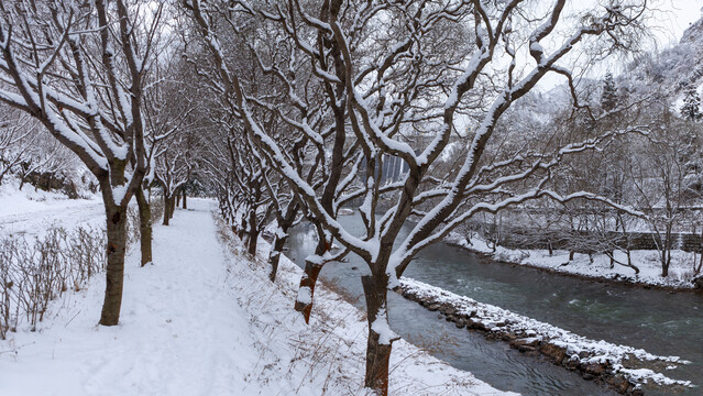 云南昭通乐居乡乐居河雪地树林