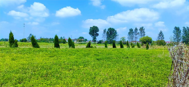 美丽的乡村田野