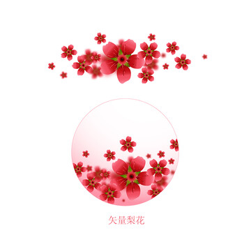 紅梨花包裝素材裝飾