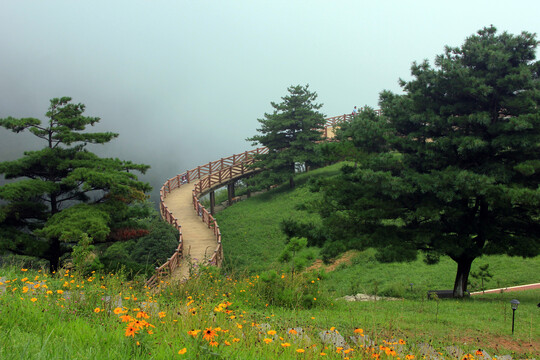 百里荒景区