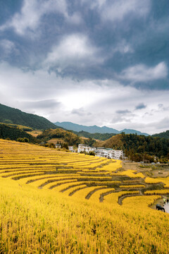 欧家梯田