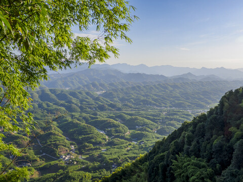 宜宾蜀南竹海