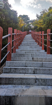 淘金山登山道