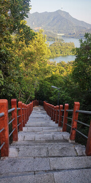 淘金山登山道