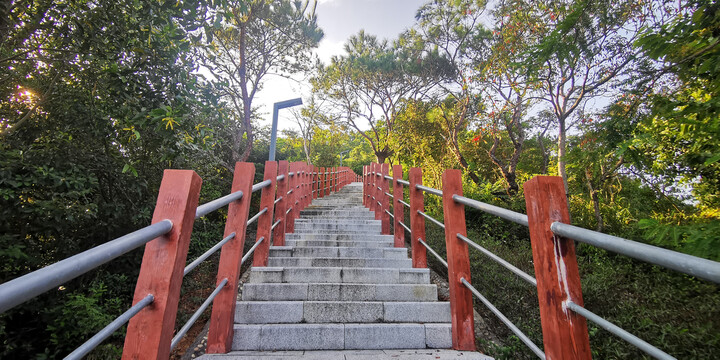 淘金山登山道