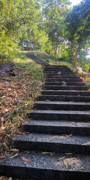 淘金山石板路