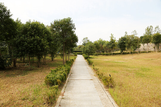 園林步道