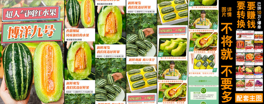 博洋9號(hào)甜瓜詳情