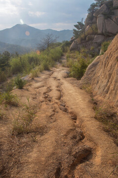 小土路