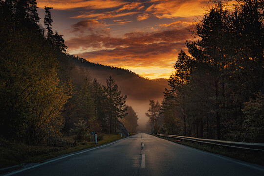 夕阳小路