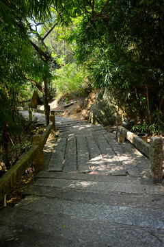 晋江草庵寺