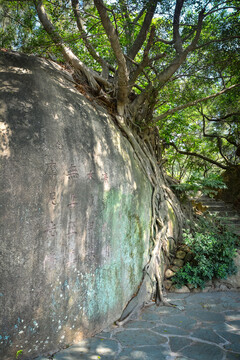 草庵石刻