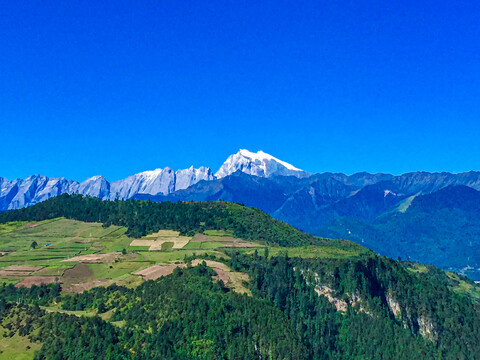 哈巴雪山风光