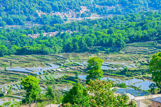 红河哈尼梯田