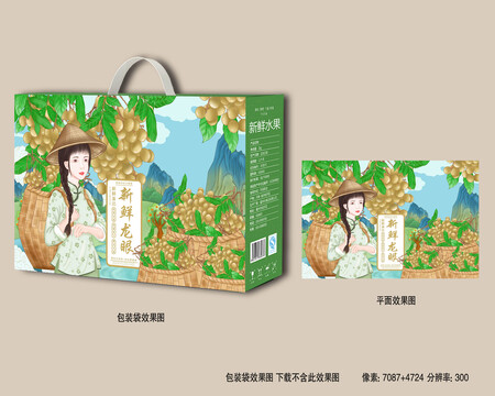 桂圓包裝插畫