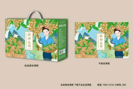 桂圓包裝插畫(huà)設(shè)計(jì)