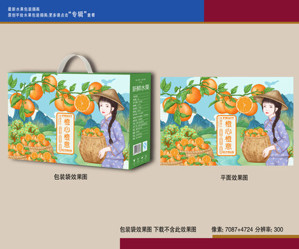 橙子包裝插畫