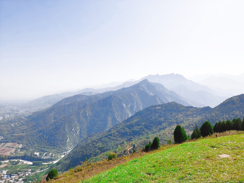 高山绿草