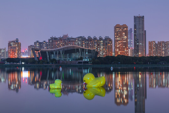 武汉月湖公园夜景