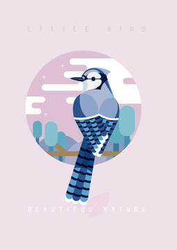 矢量鳥類插畫藍冠鴉
