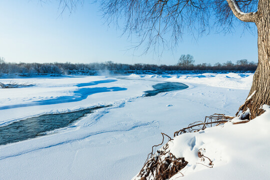 冬季森林积雪不冻河