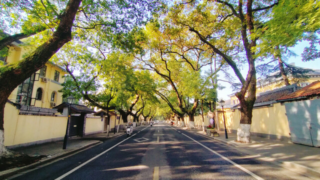 颐和路