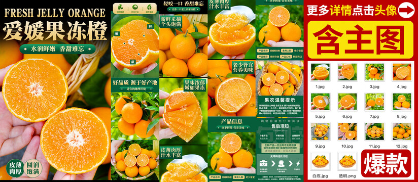 愛媛詳情