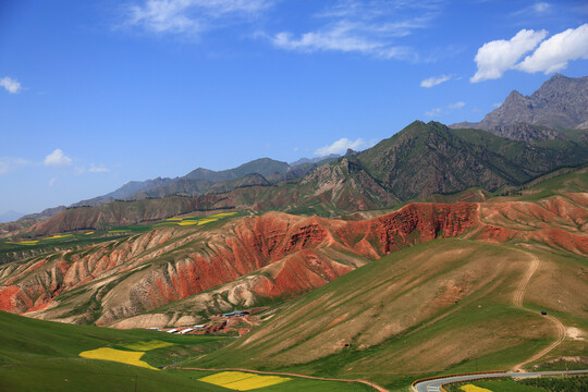 高山草甸