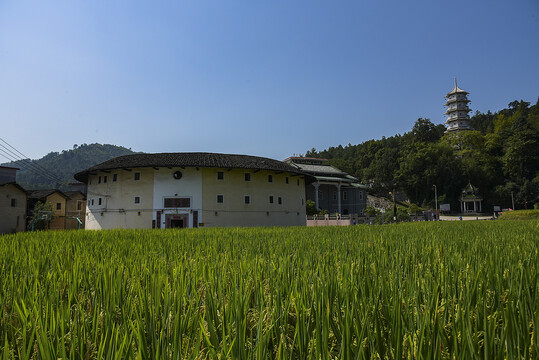 福建永定稻田土楼