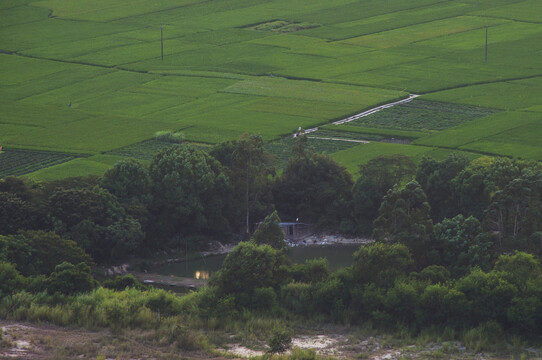 绿色良田沃土