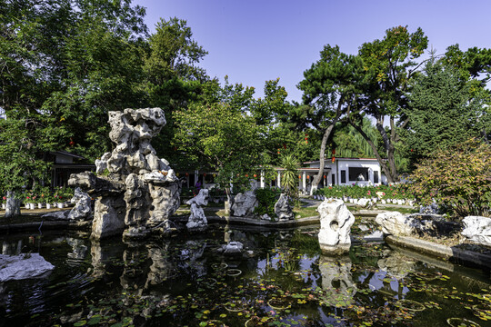 长春市儿童公园秋季菊花展场景