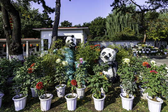 长春市儿童公园秋季菊花展场景