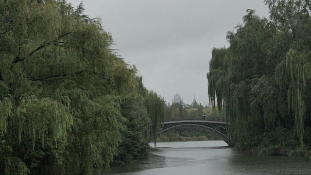 大明湖风景