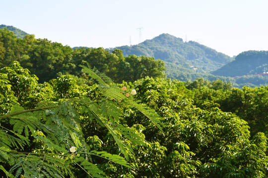 山林风景宜人