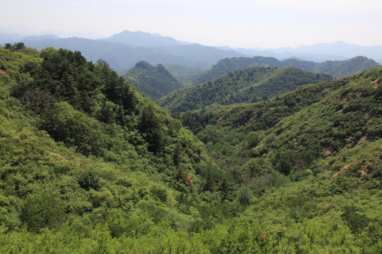 绿色山岭