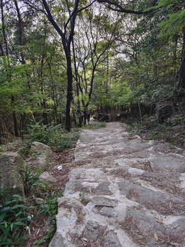 登山路