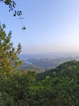 山顶风光