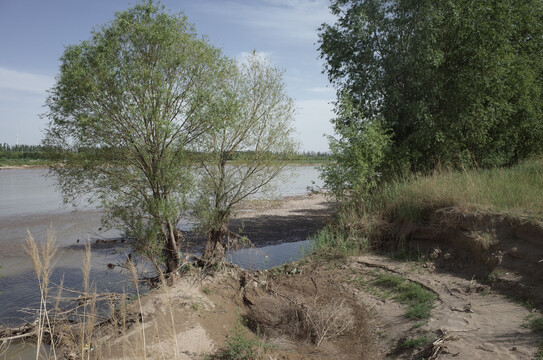 黄河湿地沙漠