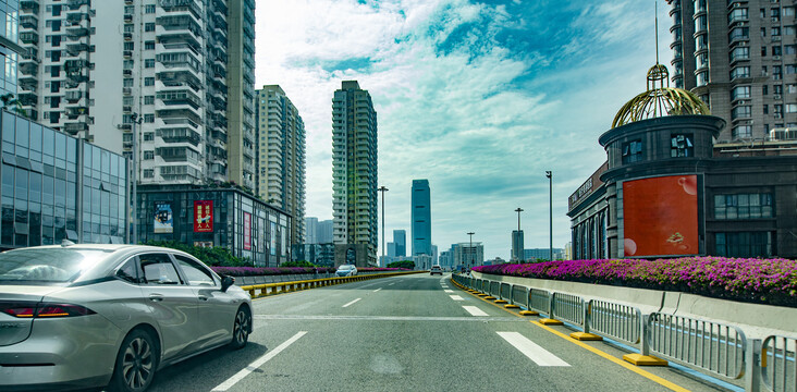 深圳高架桥两旁的杜鹃花