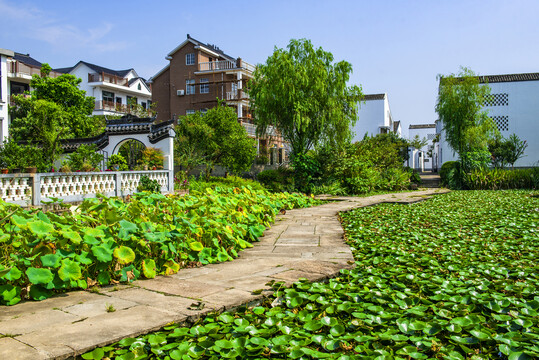 杭州富阳东梓关村