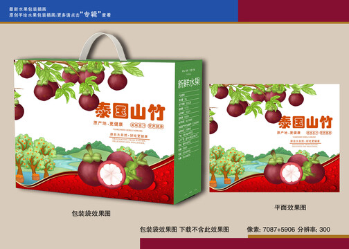 泰國山竹插畫