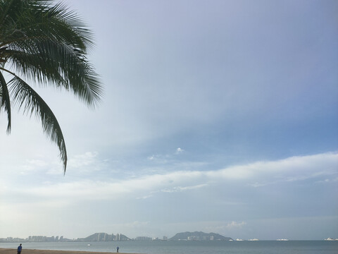 蓝天大海椰树