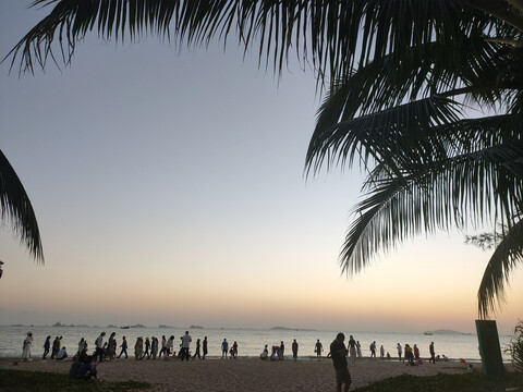 椰树大海海边夕阳