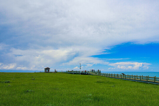 青海湖沙岛