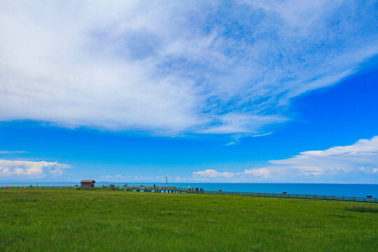 青海湖沙岛风光