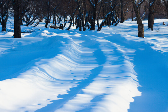 冬季雪地车辙树林