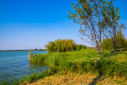 昆明湿地风景