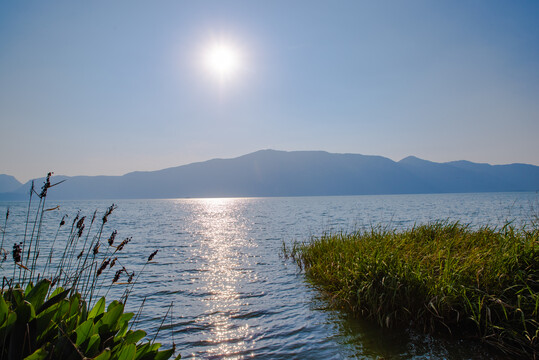 昆明湿地风景