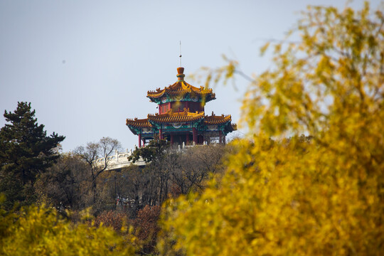 吉林北山金秋风光