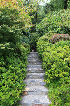 黄鹤楼风景区